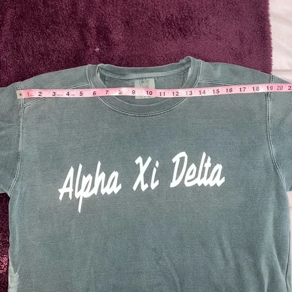 Comfort Colors Alpha Xi Delta (AXiD) crewneck - Picture 3 of 9